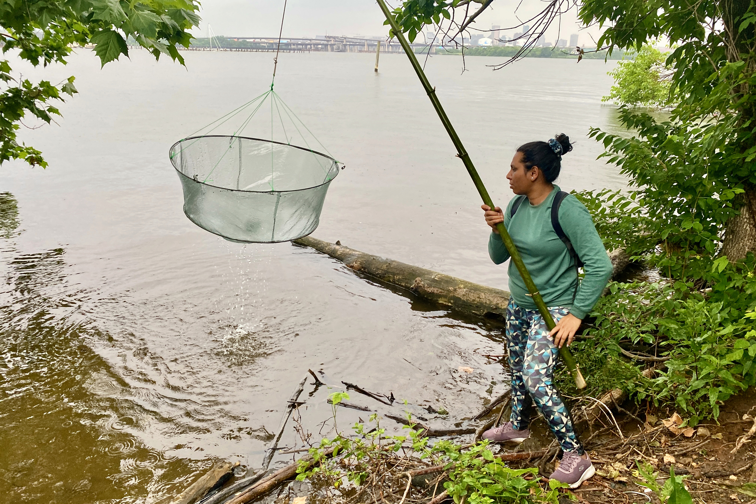Ronita Sequeira attaches a fishing net to a bamboo pole to capture and lift fish out of the water. Experimenting with different ways to deploy and retrieve the lift nets to effectively catch the fish is part of Sequeira’s research work. Credit: Aman Azhar/Inside Climate News